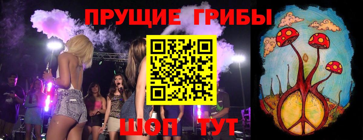 Котлас  Галлюциногенные грибы прущие грибы  Вход с VPN 